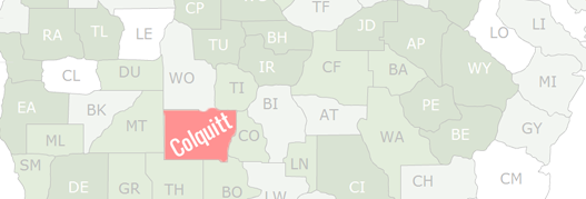 Colquitt County Map