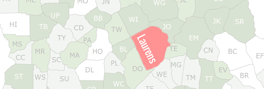 Laurens County Map