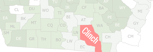 Clinch County Map