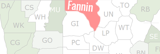 Fannin County Map