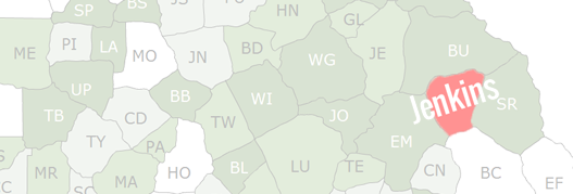 Jenkins County Map