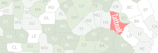 Tattnall County Map