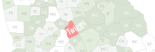 Twiggs County Map