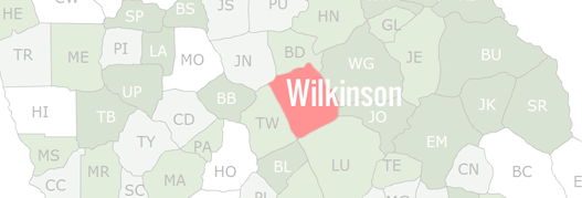 Wilkinson County Map